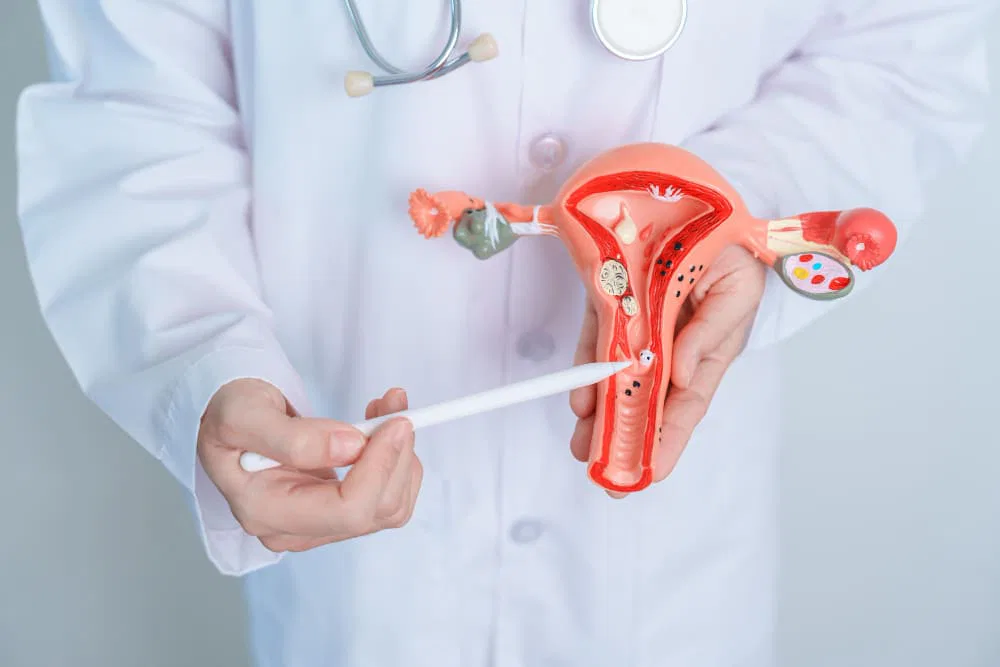 Find an Adenomyosis Specialist Near Me: Dr. Samir Abdel Ghaffar