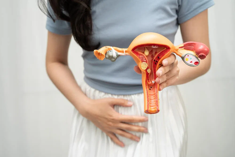 Is Adenomyosis Genetic? Understanding the Hereditary Link and Causes