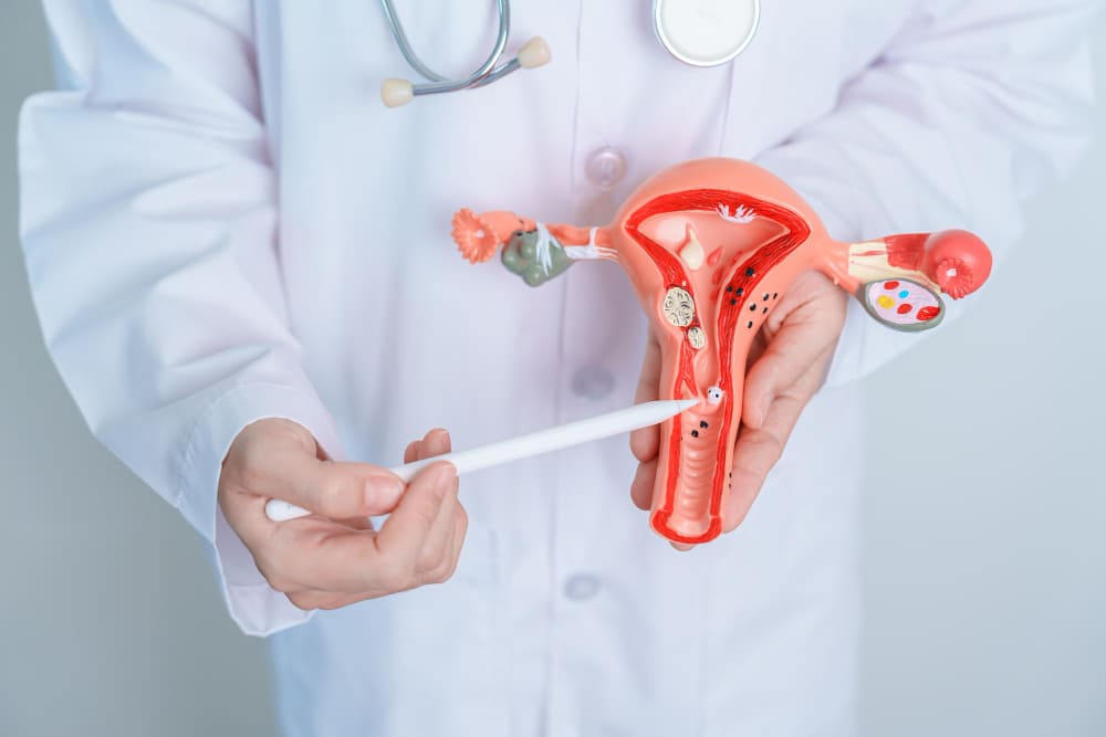 Find an Adenomyosis Specialist Near Me: Dr. Samir Abdel Ghaffar